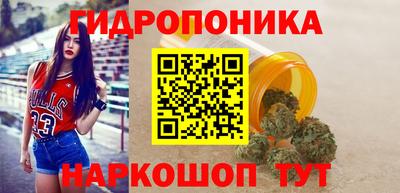 Альфа ПВП Ставрополь