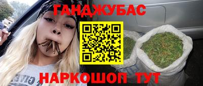 Альфа ПВП Ставрополь